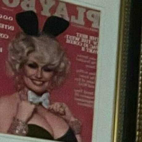 hailey pandolfi sexe de star du porno image