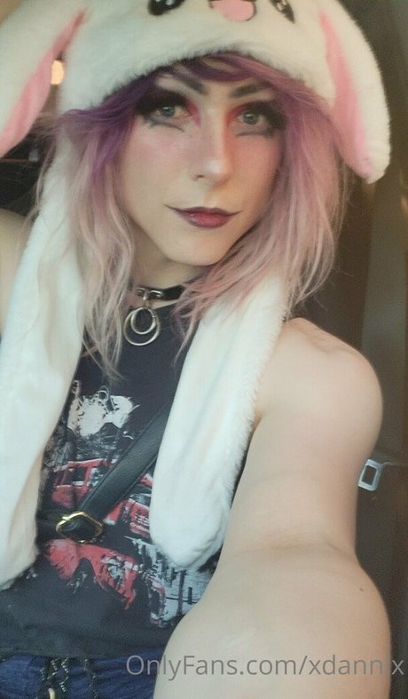 xdannix étoile de haute qualité image