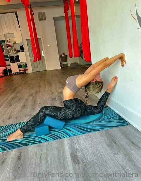 journeywithalora sexe star du porno collection