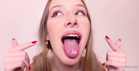 Diddly ASMR modèle de haute qualité collection