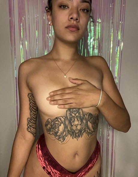 omgzada art étoile collection