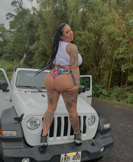 dreaalexa nus star du porno collection