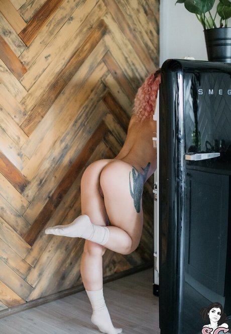 pollypolly star du porno gratuit collection