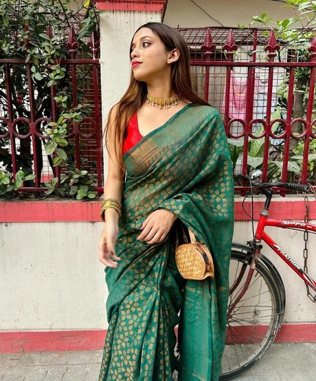 Rajasree étoile de haute qualité image