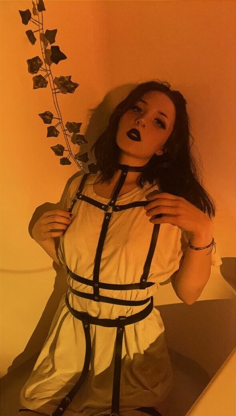 deadpixies belle star du porno photos