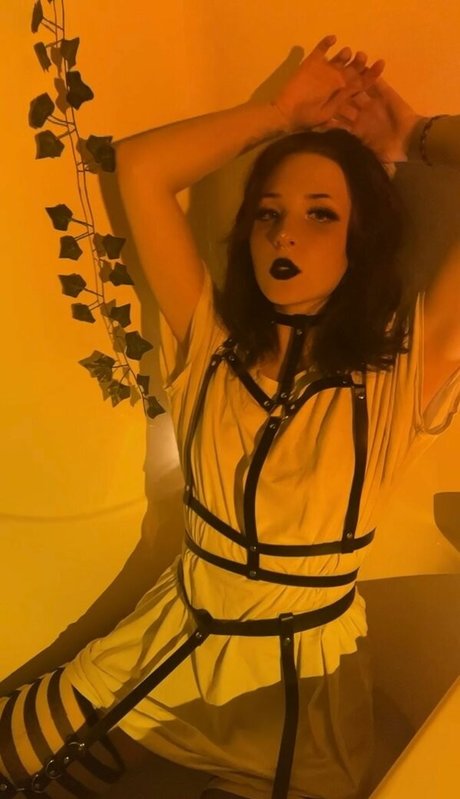 deadpixies art étoile galeries