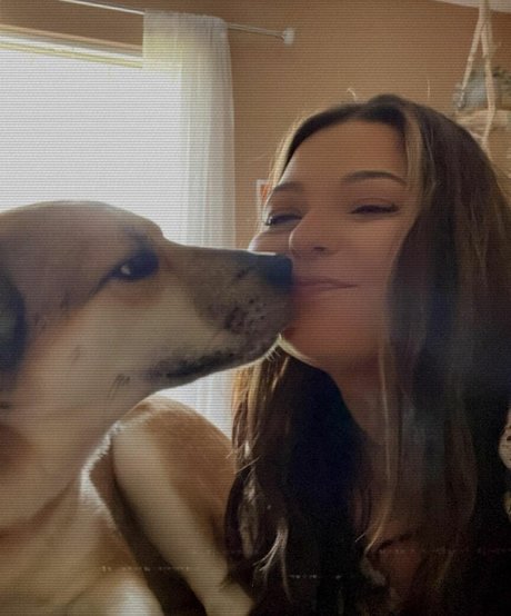 Brittney Lynn Vozar belle star du porno collection