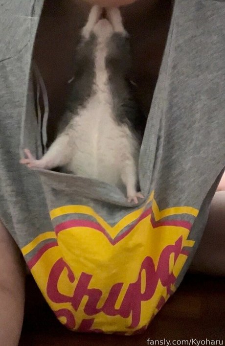 Kyoharu actrice érotique images