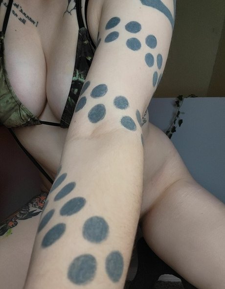 Coophound meilleur modèle collection