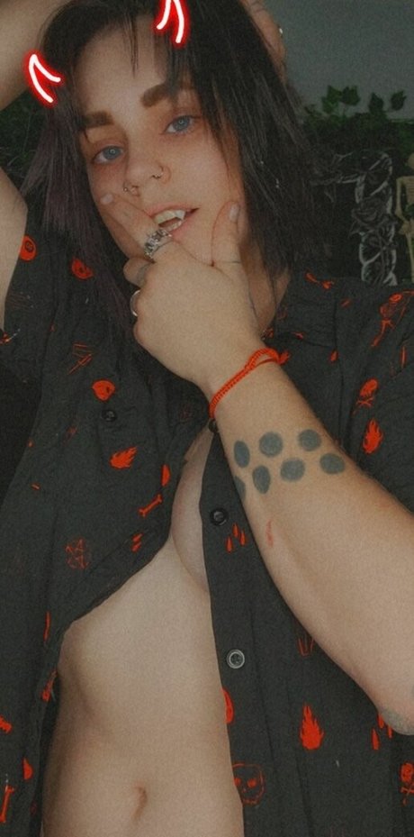 Coophound top star galerie