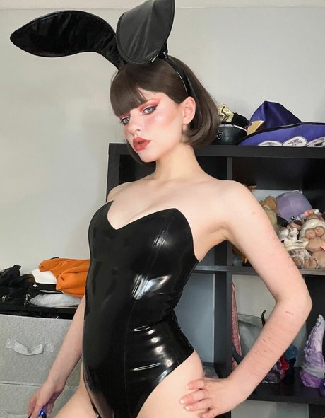 thecutestkittycat étoile sympa image