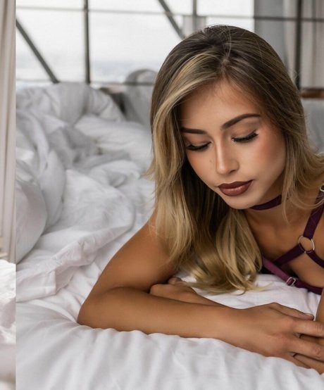 deja ray sexe de star du porno collection