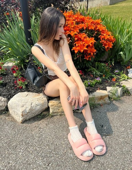 freelolamoon jolie étoile collection