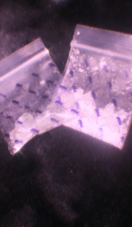 cocxinebxby étoile de l'art image