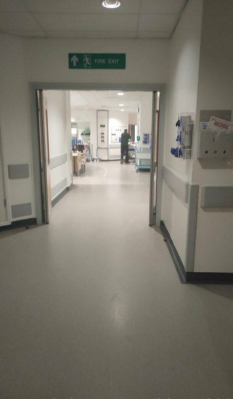 bloom666 art étoile archive