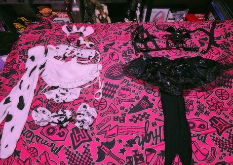 evyrosas belle actrice collection