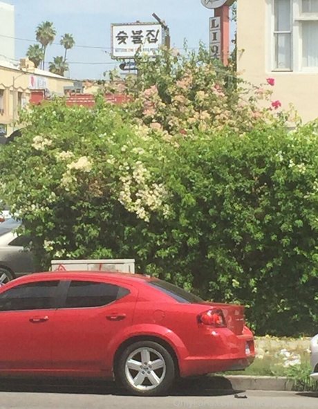 illtakeeverything étoile exclusive photo