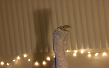 asmr pov uniquementfans meilleur érotique des photos