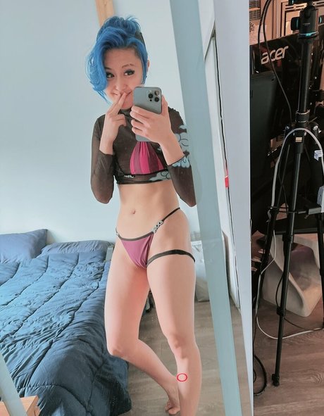 Fareeha étoile exclusive images