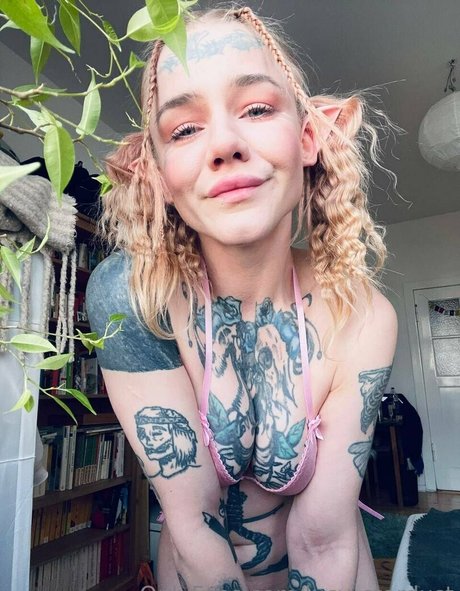 lucy kinky nus étoiles collection