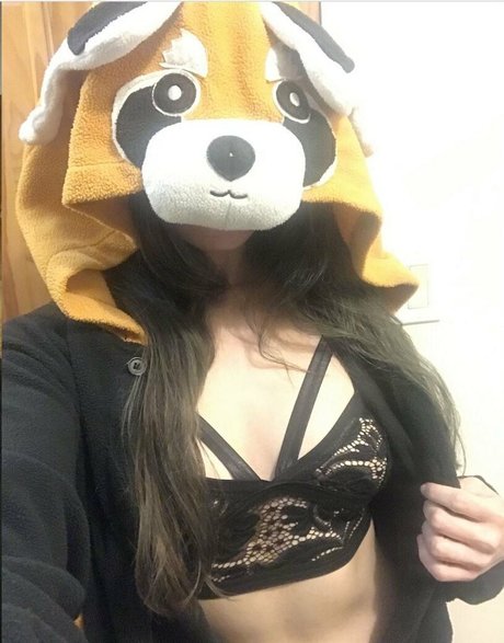 ivystar étoile hd collection