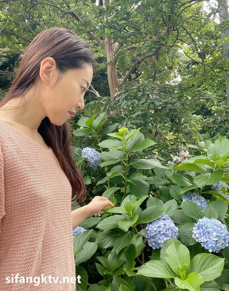 fans de poitrine plate uniquement gratuit des photos