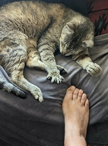 mexhotchocolate haut de star du porno collection