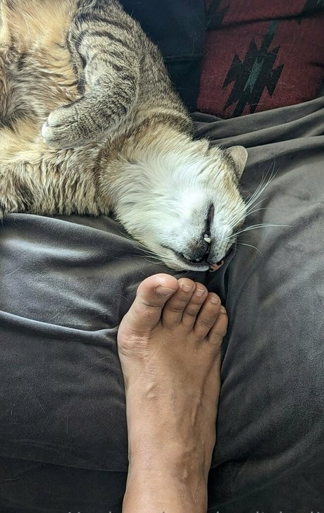 mexhotchocolate meilleure actrice archive