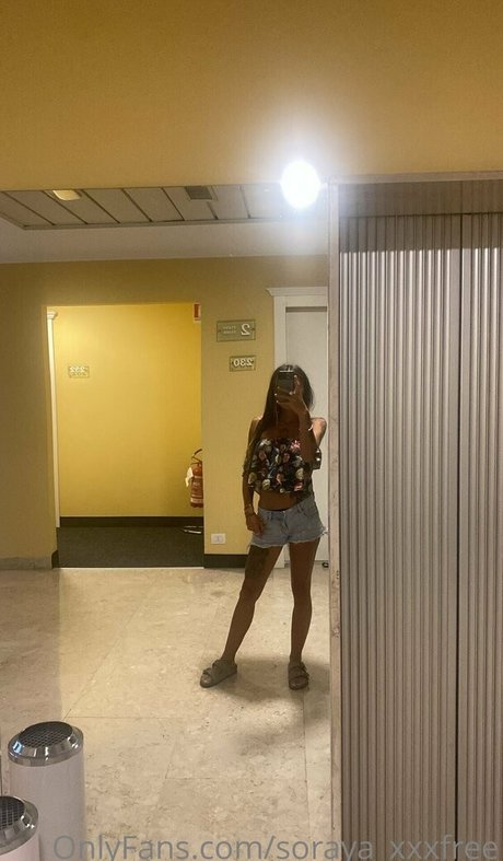 soraya xxxfree haut de star du porno collection