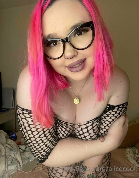 alicecook Fotoaufnahmen