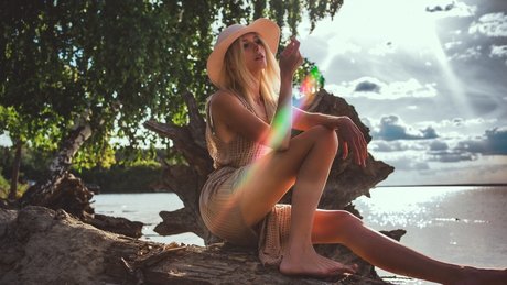 Wolffix modèle joli archive