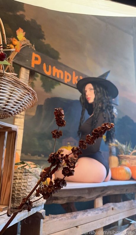 sibmouse modèle de sexe photo