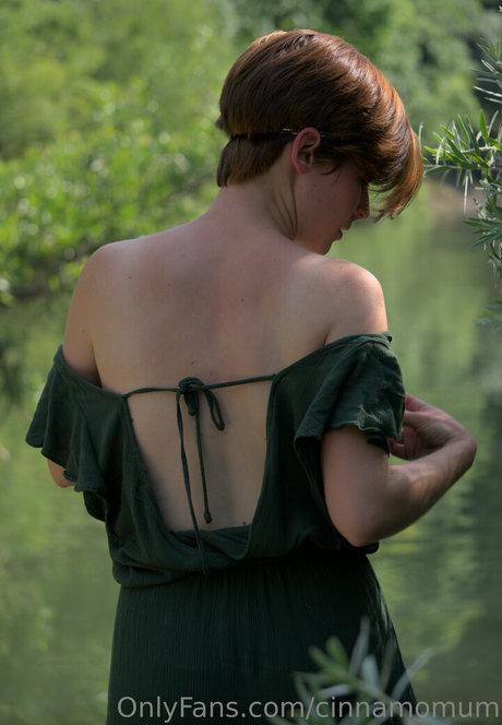 cinnamomum modèle parfait image