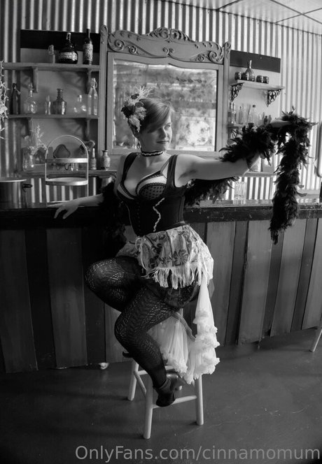 cinnamomum modèle artistique des photos