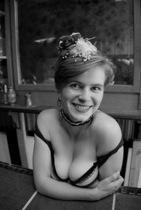 cinnamomum modèle sympa galerie