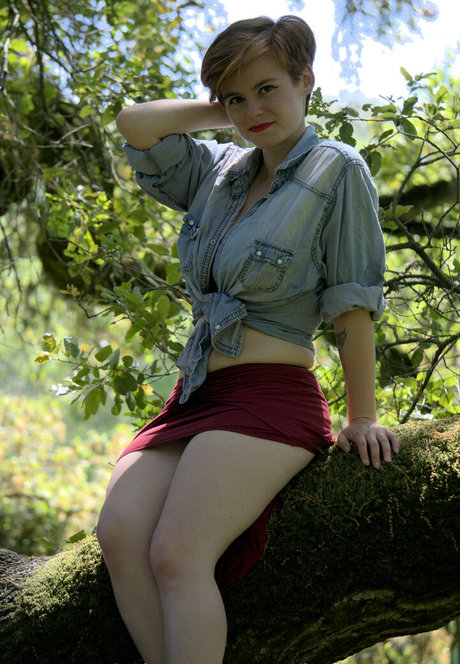 cinnamomum xxx étoile galerie