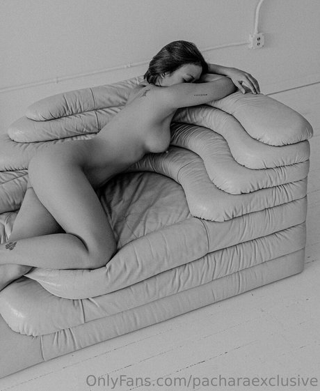 pacharaexclusive art star du porno des photos