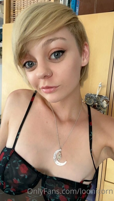 loonicorn art star du porno archive