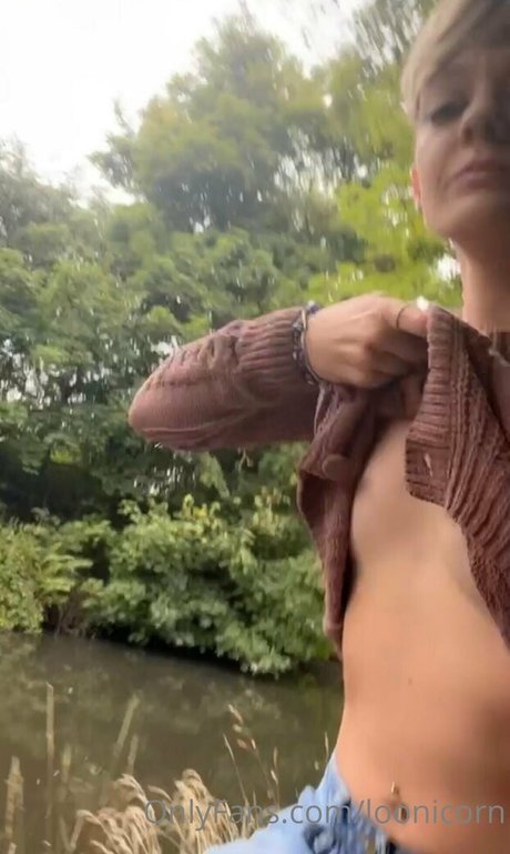 loonicorn étoile images