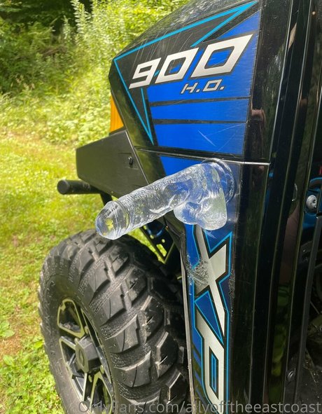 allyofftheeastcoast xxx étoile img