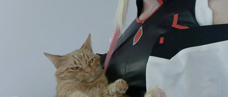 reitoozaru art étoile archive