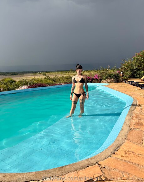 Elina mj étoile de l'art galerie