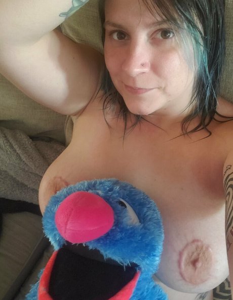 risenfeinics étoile exclusive galeries