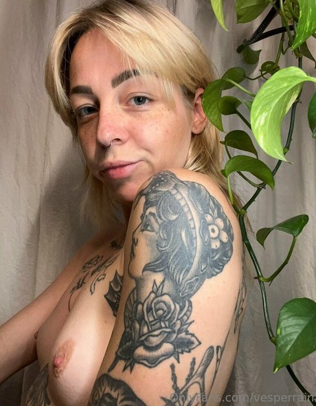 vesperrain star du porno parfaite collection