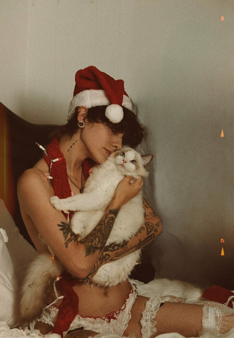 seriouslyzippy meilleure star du porno des photos