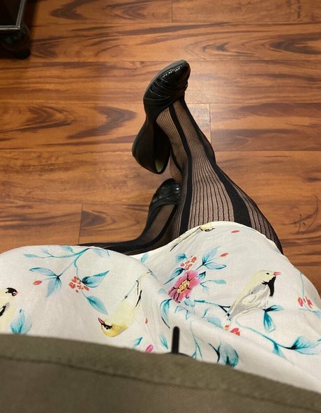 dizzykittenpaws meilleure étoile image