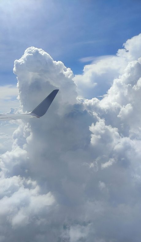 tasechka mannequin archive