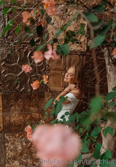 tasechka xxx star du porno images