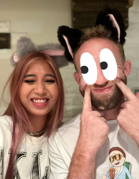 wildcmk art de star du porno collection