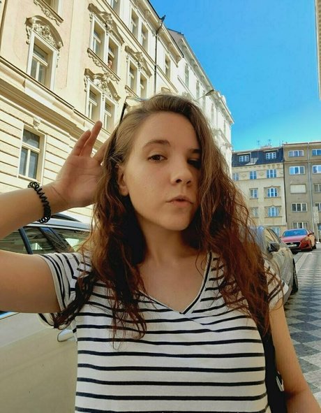 charming dora étoile parfaite galeries